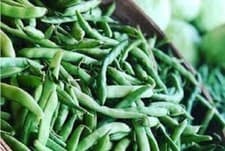 Premium Mountaineer Half Runner Green Beans - Fresh Heirloom Seeds  Very Popular