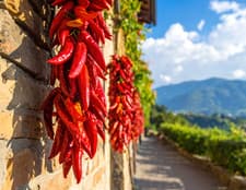 Jimmy Nardello Pepper Seeds - SWEET & Popular - Productive - EASY - USA - image 2